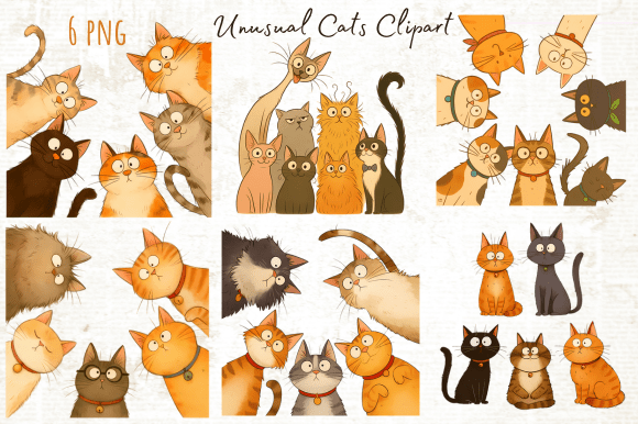 Download Funny Unusual Cats Clipart Png - Premium Resources